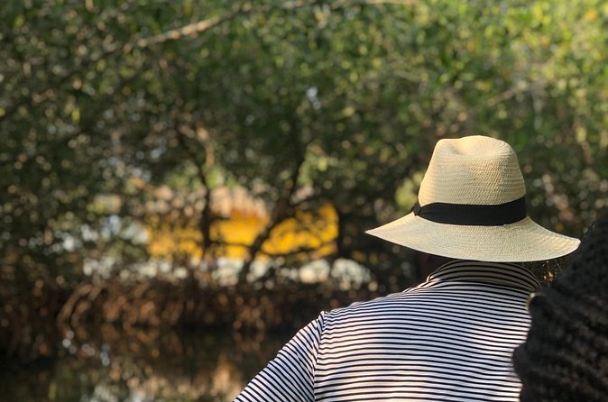 Authentic Cartagena City Tour - La Boquilla Canoes Through Mangroves, Then Your Beach Lunch