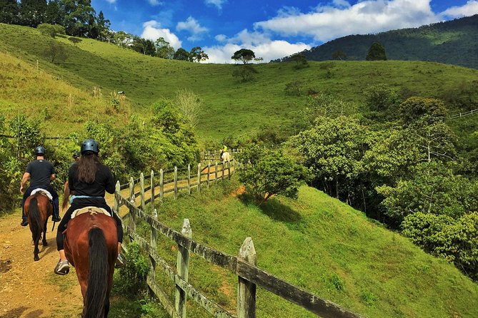 Authentic Colombian Horseback Ride - The 2.5-hour trail ride: mountains, natural paths, and a possible river splash