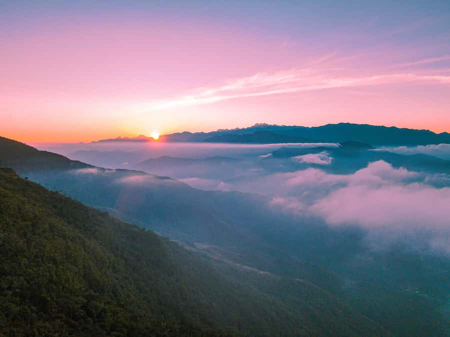 Avistamiento de aves en Minca Sierra Nevada de Santa Marta - Why Minca Birding Works So Well Before the Day Gets Loud