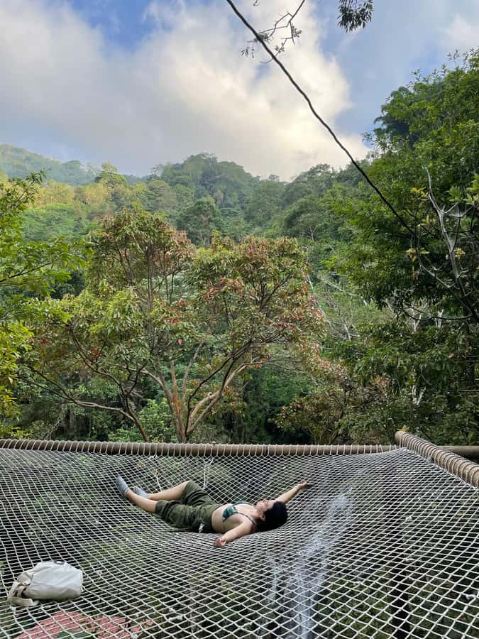 Avistamiento de aves en Minca Sierra Nevada de Santa Marta - The 3-Hour Trail Walk: How You End Up Seeing Toucans, Owls, and More