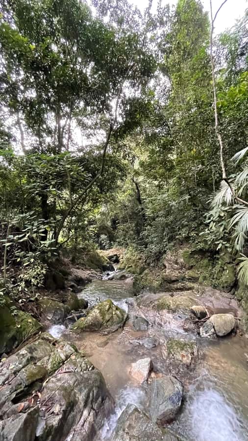 Avistamiento de aves en Minca Sierra Nevada de Santa Marta - Getting to the Sierra Nevada: The 45-Minute Ride That Sets the Tone