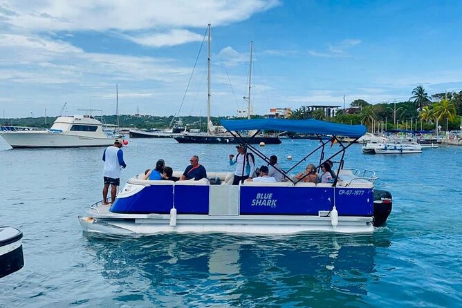 Bahia Tour, visit to the aquarium, bathing stops in San Andres. - Nurse shark cave sighting and what to expect from the marine moments
