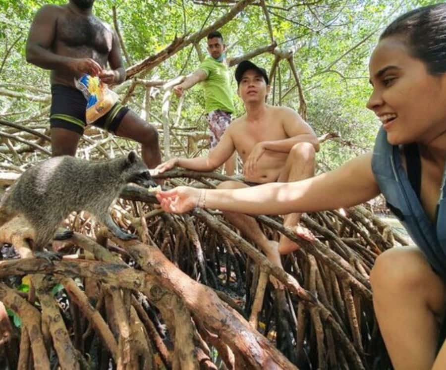 Barú: Club Freedom Beach with Mangrove and Snorkel - Small group pacing and a Spanish guide: how to make the day smooth