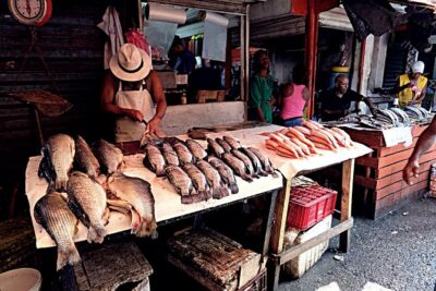 Bazurto Popular Market and Cooking Classes