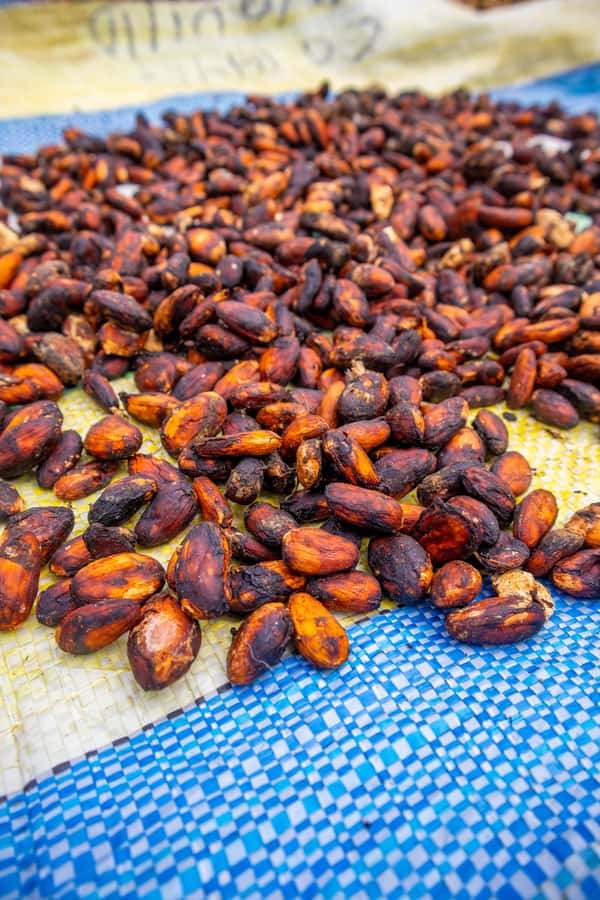 Bean to Bar: Cocoa and Chocolate Workshop - Should You Book This Bean to Bar Workshop?
