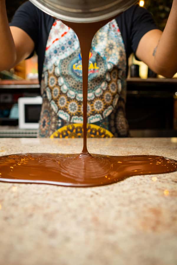 Bean to Bar: Cocoa and Chocolate Workshop - Chocolate Tasting That Teaches: 40%, 46%, 80%, and 100% Cocoa