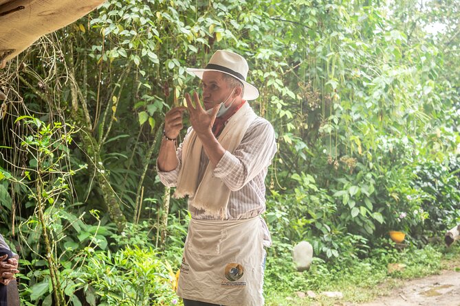 Best Coffee Tour from Medellin with Lunch and Transportation - Lunch on the farm, and why it changes the value