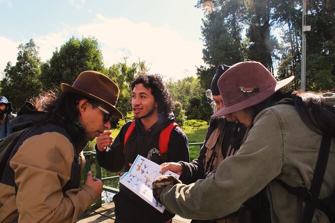 Bird watching in Bogota wetlands with Bakata Bird - La Florida Park: Quiet Paths and Open Wetland Views