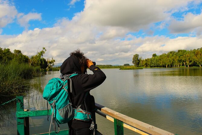 Bird watching in Bogota wetlands with Bakata Bird - Getting Started at Jaboque, Then Focusing on El Jaboque