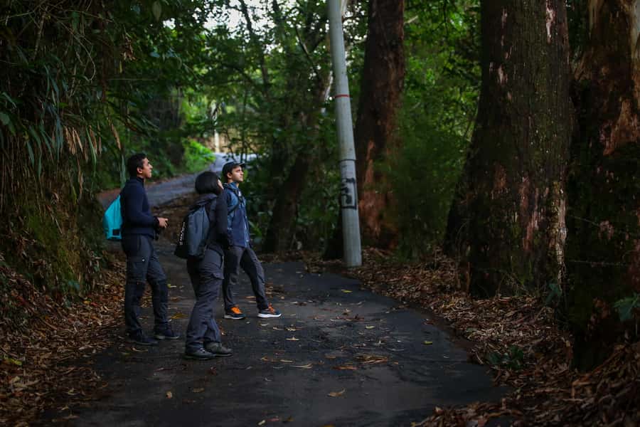 Birding Medellin with expert bird-watcher (Private) - Food and comfort: what the included breakfast and snacks do for you