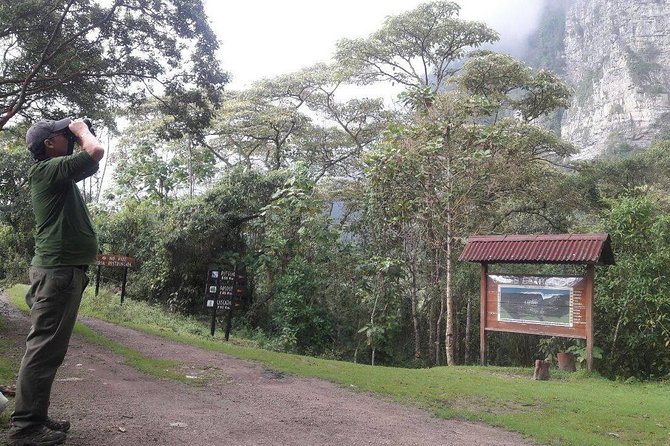 Birding & Nature to Chicaque Cloud Forest Nature Reserve - The Cloud Forest Setting: Altitude, Habitat, and What It Means for Birds