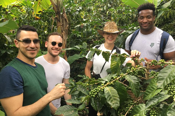 Birds & Beans Traditional Coffee Tour - Guides, family farms, and the kind of day that runs a bit long