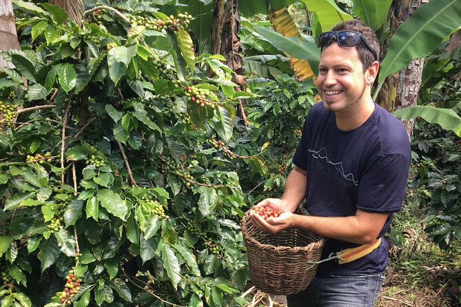 Birds & Beans Traditional Coffee Tour - Silvania Stop: How Daily Coffee Purchasing Works in Town