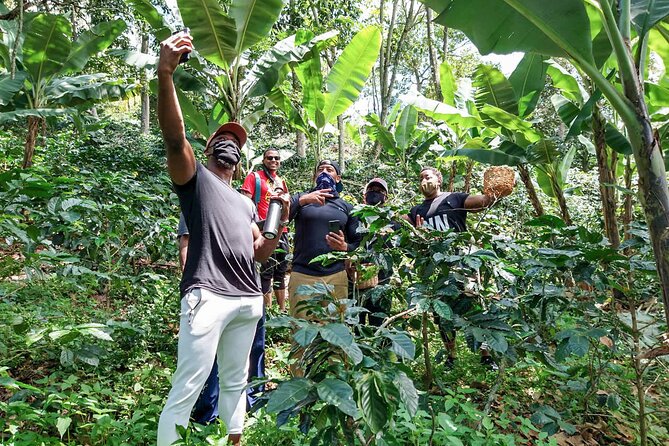 Birds & Beans Traditional Coffee Tour - What’s Included, What’s Extra, and How to Pack Smart