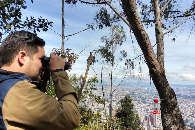 Birdwatching at Monserrate Bogotá 4H - What to expect at the start and the finish