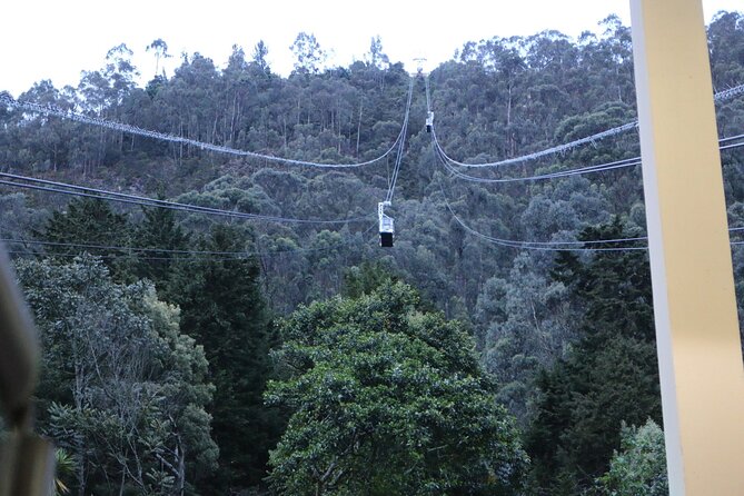 Birdwatching at Monserrate Bogotá 4H - Who this tour suits best (and who should skip it)