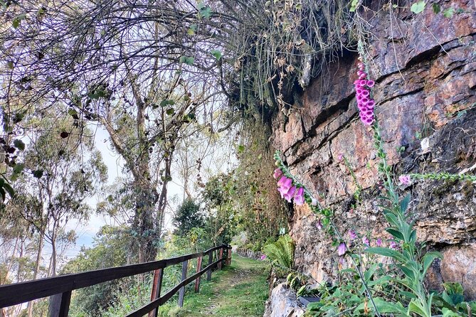 Birdwatching at Monserrate Bogotá 4H - Getting there: pickup across Bogotá, English guide, and why timing changes everything