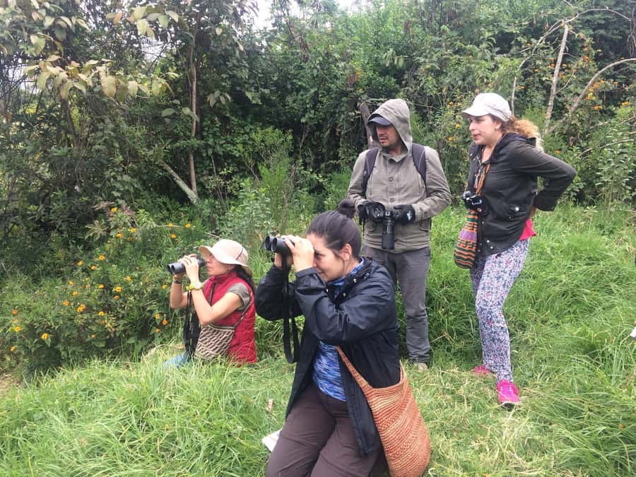 Birdwatching Day Tour at Chicaque Natural Park - From Bogotá Pickup To Quiet Forest Time