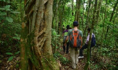 Birdwatching Day Tour at Chicaque Natural Park