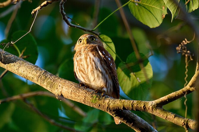 Birdwatching in a private nature reserve - Key highlights you should care about