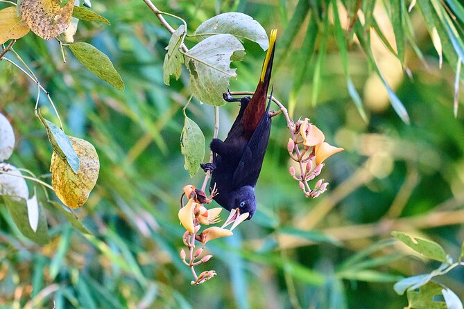 Birdwatching in a private nature reserve - What you’ll actually do: scanning, pausing, and photographing