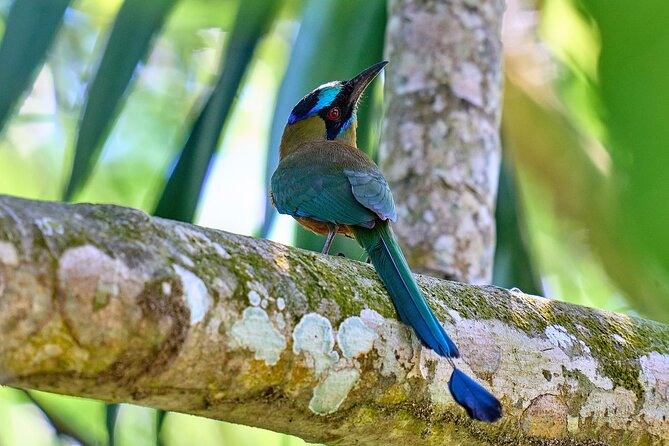 Birdwatching in a private nature reserve - Included comforts that make the day easier