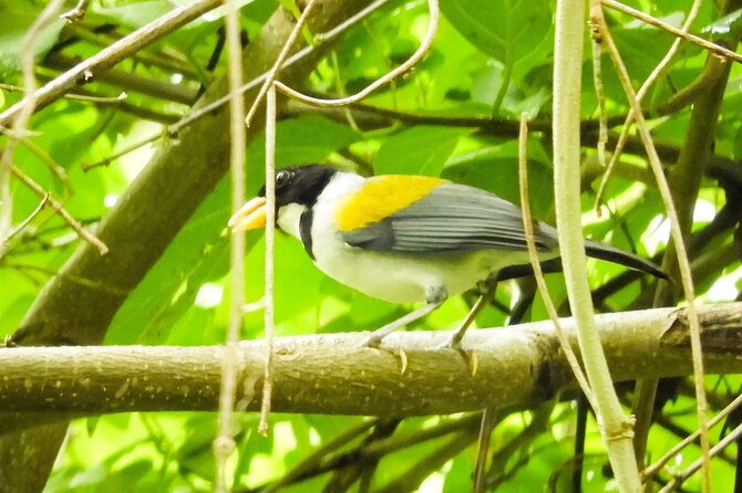 Birdwatching in a private nature reserve - Price and value: does $358 make sense for you?