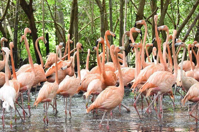 Birdwatching National Aviary Cartagena de Indias - Price and value: is $140 a fair deal?