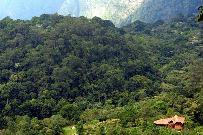 Birdwatching Private Tour at Chicaque Natural Park with Lunch - Key things to know before you go