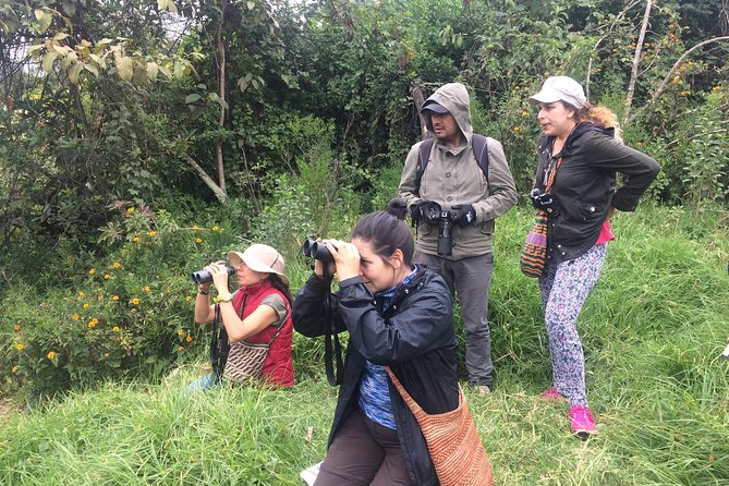 Birdwatching Private Tour at Chicaque Natural Park with Lunch - Lunch at the park: what is included, what is not, and what to plan for