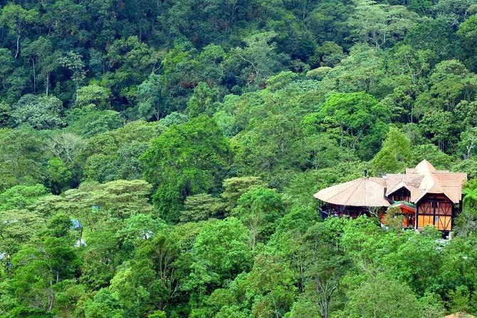 Birdwatching Private Tour at Chicaque Natural Park with Lunch - Price and value: is $94 a fair deal for a full day?