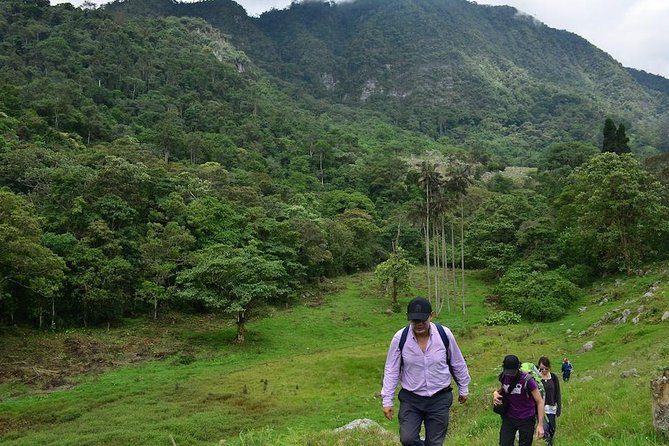 Birdwatching Private Tour at Chicaque Natural Park with Lunch - Should you book? My practical verdict