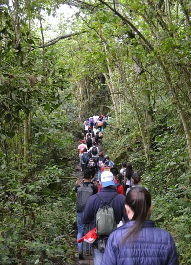 Bogota: Explore the forest and bird watching at Chicaque Natural Park - From Bogotá to cloud forest, with views on the ride