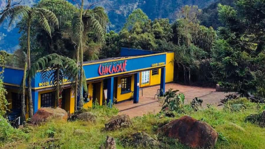 Bogota: Explore the forest and bird watching at Chicaque Natural Park - Hiking the cloud forest trails: what “well-maintained” really means