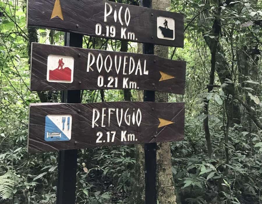 Bogota: Explore the forest and bird watching at Chicaque Natural Park - The Chicaque Waterfall payoff hike