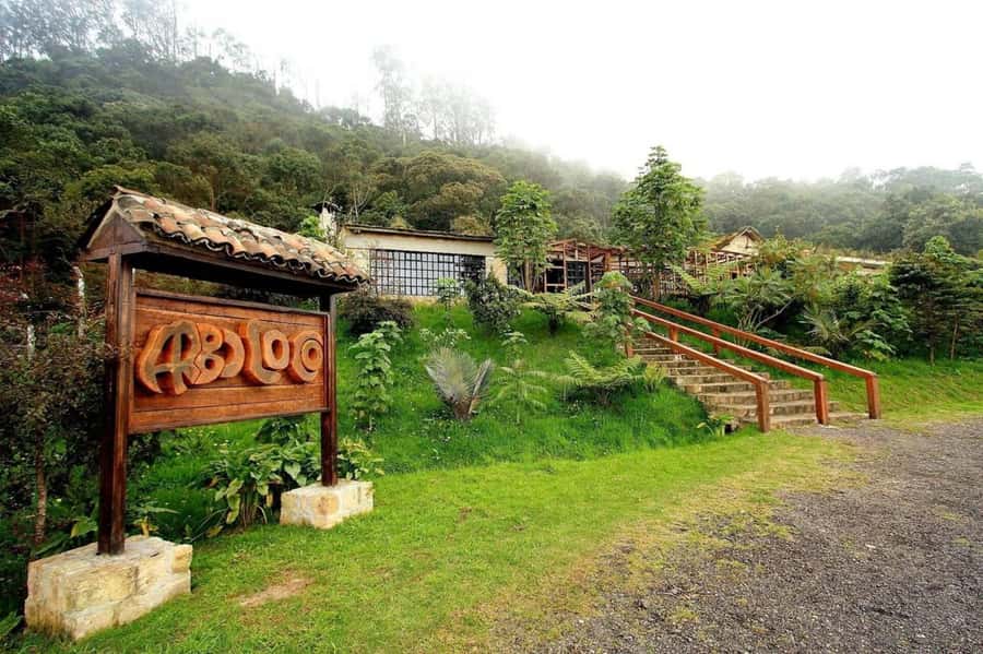Bogota: Explore the forest and bird watching at Chicaque Natural Park - Breakfast snack, then lunch in nature without the stress