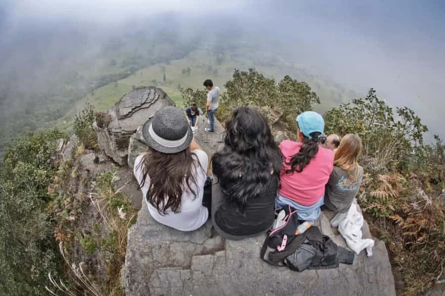Bogota: Explore the forest and bird watching at Chicaque Natural Park - Bird watching and quiet time after the main hike