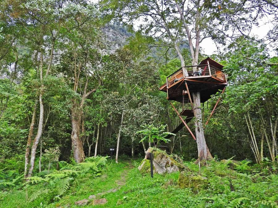 Bogota: Explore the forest and bird watching at Chicaque Natural Park - What this tour includes, and what you’ll likely spend extra on