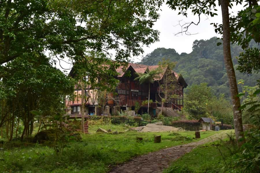 Bogota: Explore the forest and bird watching at Chicaque Natural Park - The park kickoff: where your guide sets the scene fast