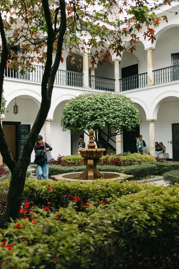 Bogotá: Express Tour with Private Guide and Transportation - Who This Tour Fits Best