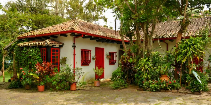 Bogotá: Guided Coffee Tour with Lunch, and Pickup & Drop-Off - From Bogotá to Fusagasugá: the ride that shapes your day