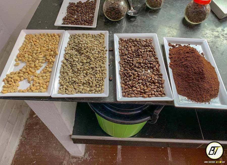 Bogotá: Guided Coffee Tour with Lunch, and Pickup & Drop-Off - From pulping to roasting: how processing changes the cup