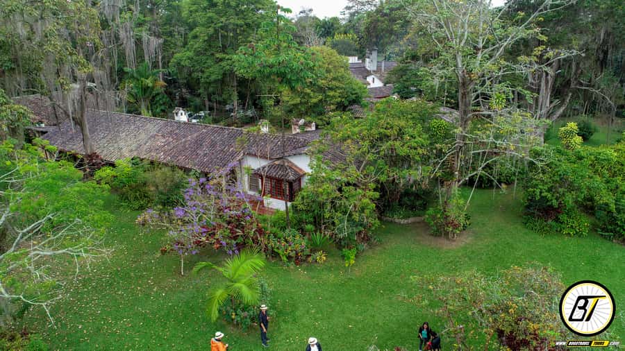Bogotá: Guided Coffee Tour with Lunch, and Pickup & Drop-Off - Coffee plantation training: bean picking, pests, and plant mutations