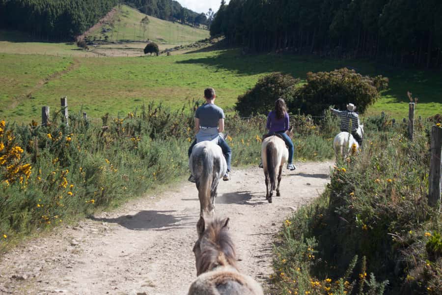 Bogota: Horseback Riding Tour - From Bogotá to the Ranch: The 4-Hour Rhythm