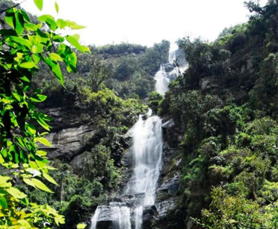 Bogota: La Chorrera Waterfall Guided Hike and Guadalupe Hill - La Chorrera Natural Park: mist at Chiflón, then Colombia’s 590 meters