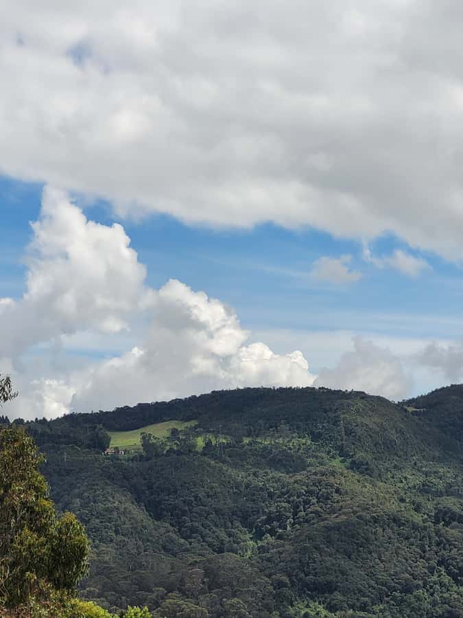 Bogota: Private Tour to Monserrate and Guadalupe - Practical Tips: What to Bring for Comfortable Cerro Walking
