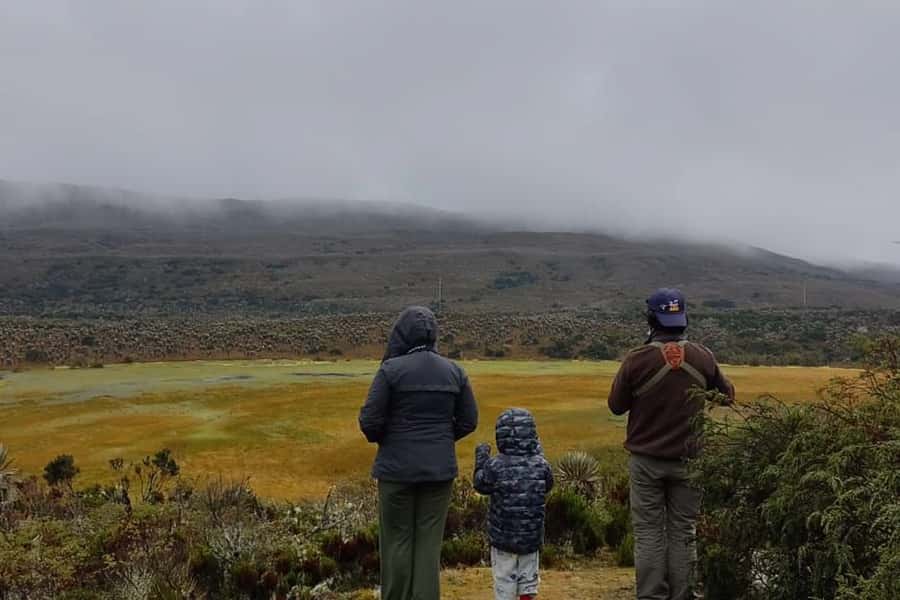 Bogotá: Sumapaz National Park Hike Tour - Key Highlights You Should Know Before You Go