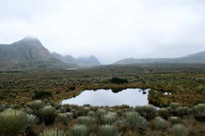 Sumapaz National Park Hike Tour