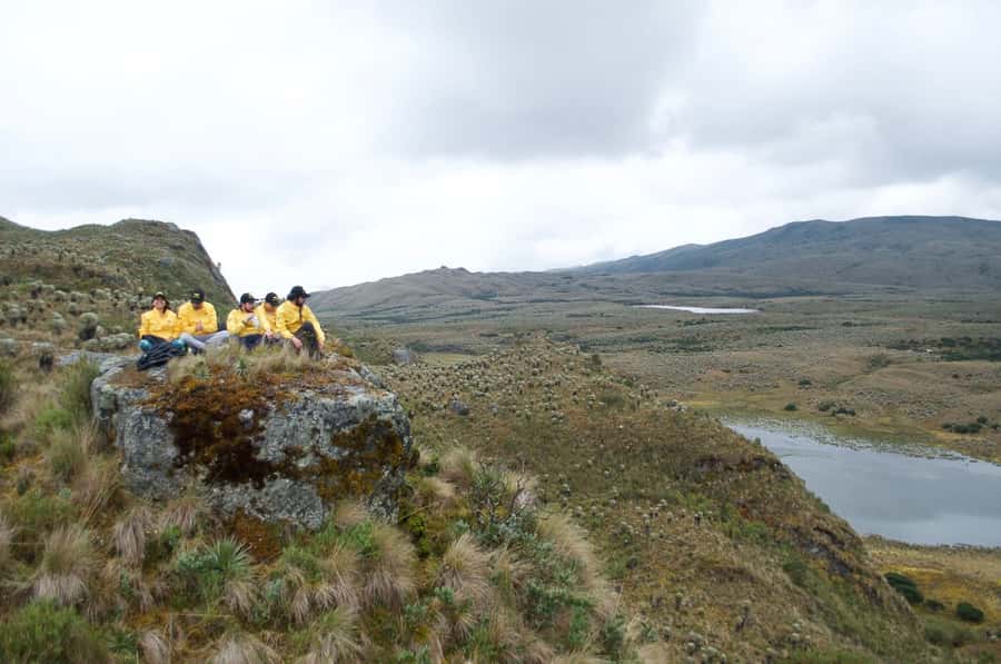 Bogotá: Sumapaz National Park Hike Tour - Who This Hike Suits Best (and Who Should Rethink It)