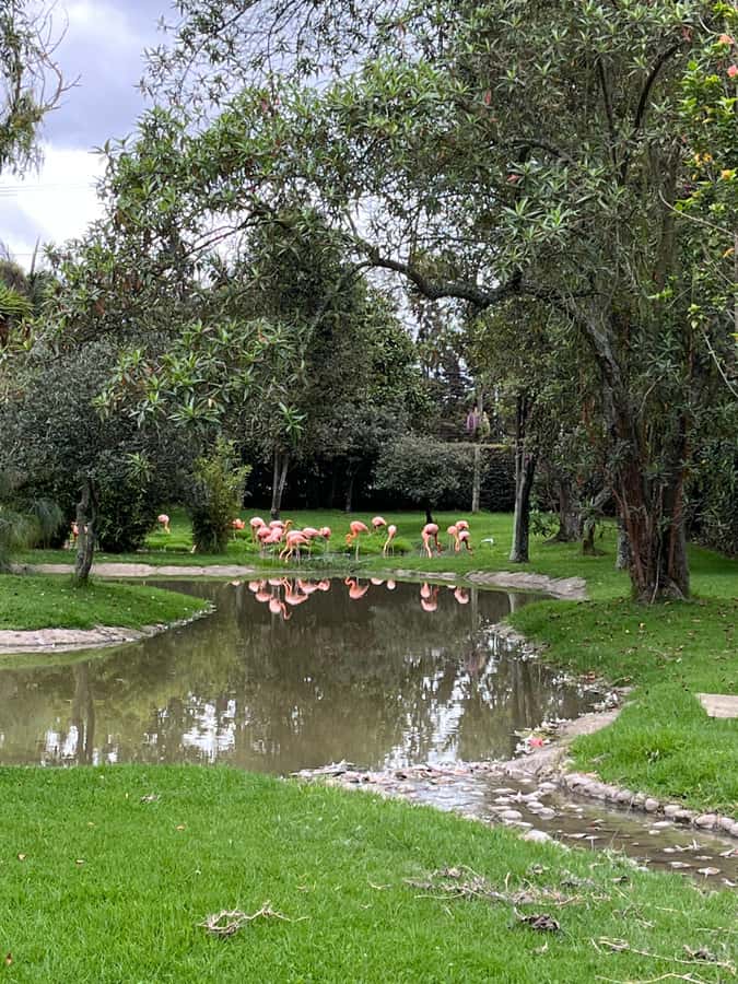 BOGOTA: Tour of Jaime Duque Park, Zoo, and Aerospace Museum - Should you book the Jaime Duque Park tour with Neorama Tours?